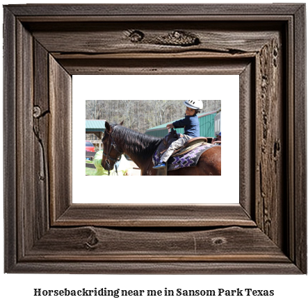 horseback riding near me in Sansom Park, Texas